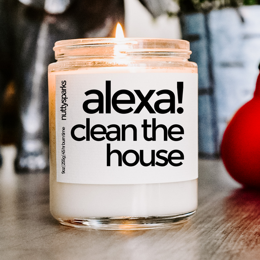alexa, clean the house