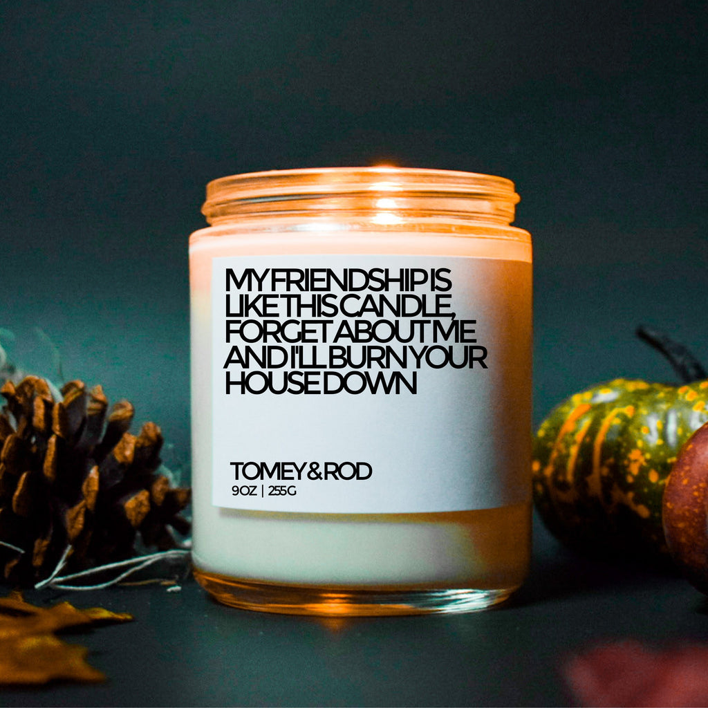 Best Friends Gift | Coworker Gift | Funny Gift For Friend | Christmas Gift For Friend | Gift For Friend | Funny Goodbye Gift | Soy Candle