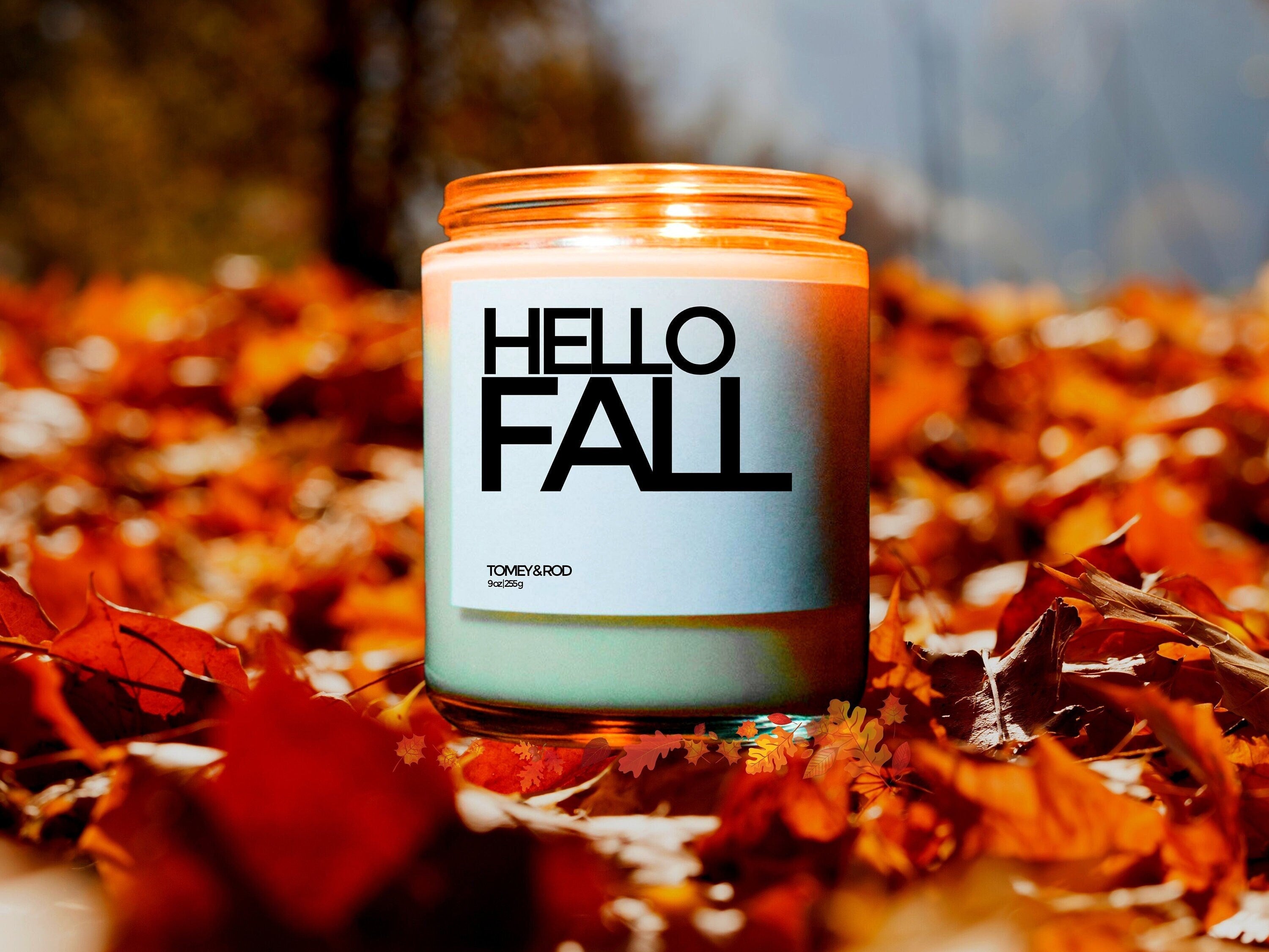 Hello Fall Candle, Funny Fall Decor, Autumn Candle, Custom Candle, Fall Party Favor, Autumn Gifts, Autumn Decoration, Thanksgiving