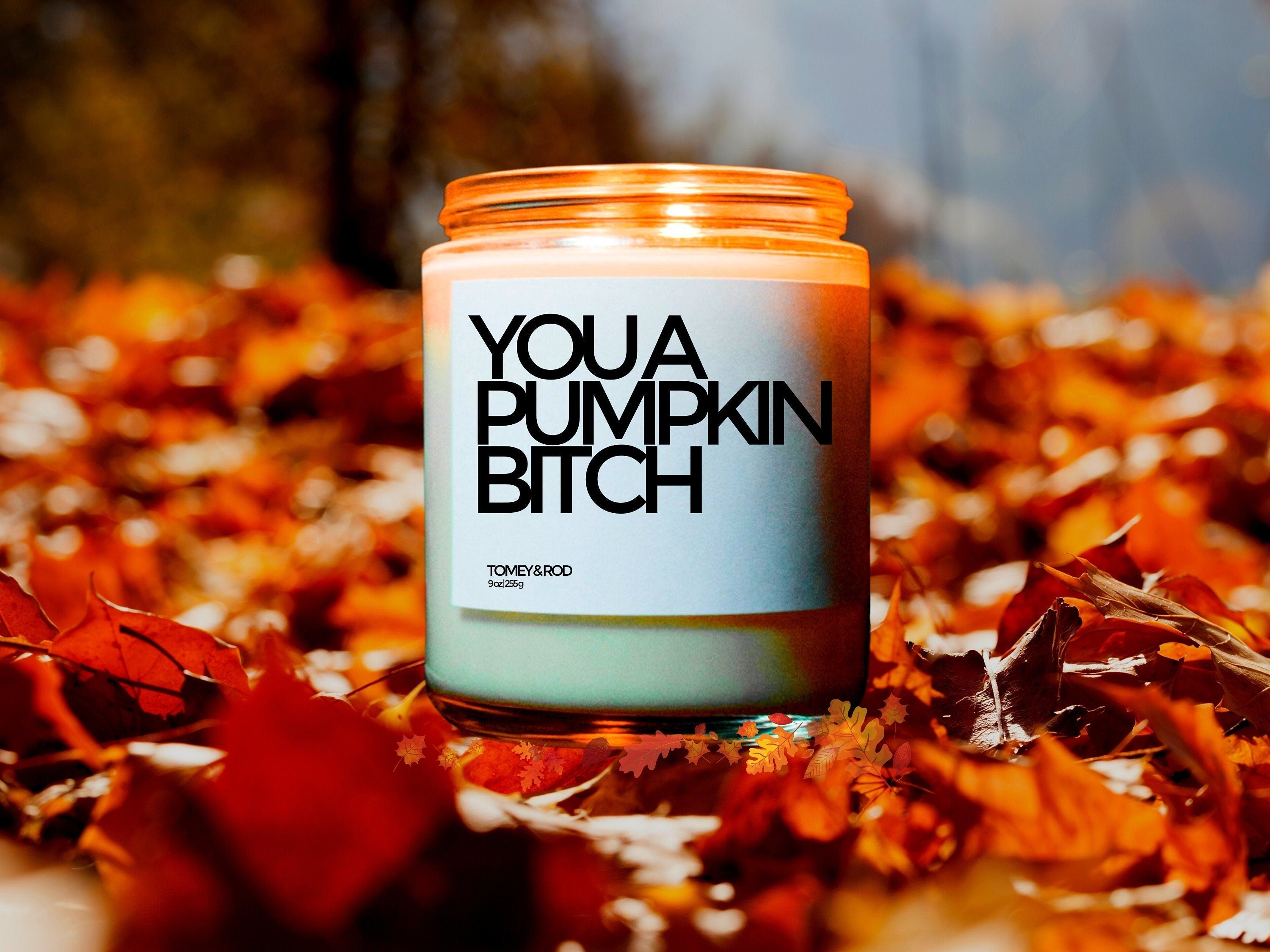 You Pumpkin Bitch Candle, Funny Fall Decor, Autumn Candle, Custom Candle, Fall Party Favor, Autumn Gifts, Autumn Decoration, Thanksgiving