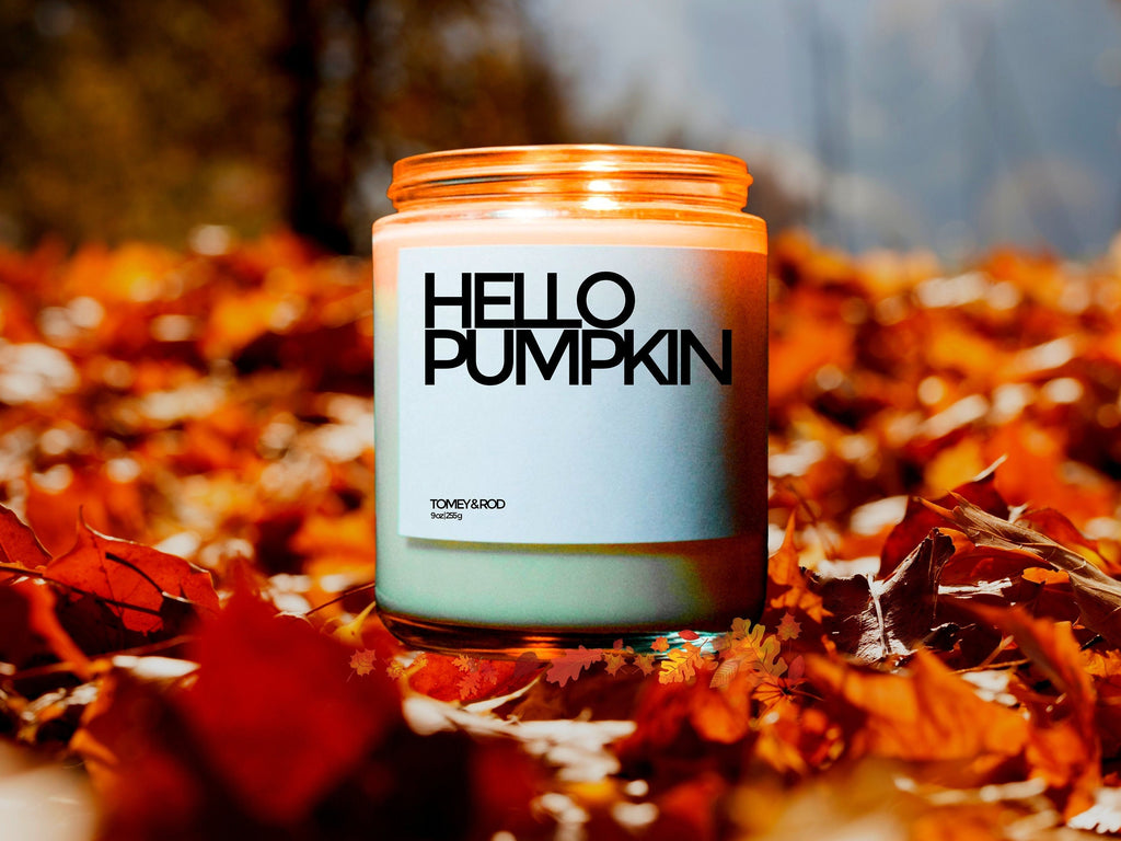 Hello Pumpkin Candle, Funny Fall Decor, Autumn Candle, Custom Candle, Fall Party Favor, Autumn Gifts, Autumn Decoration, Thanksgiving