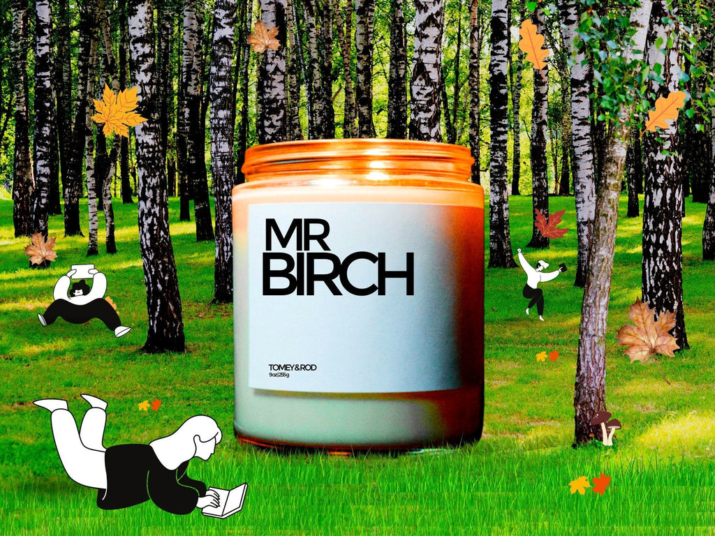 Mr Birch Candle, Funny Fall Decor, Autumn Candle, Custom Candle, Fall Party Favor, Autumn Gifts, Autumn Decoration, Thanksgiving