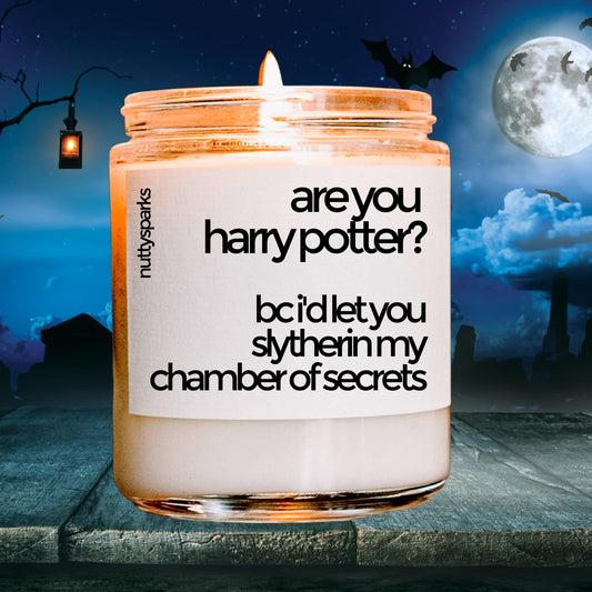 slytherin my chamber