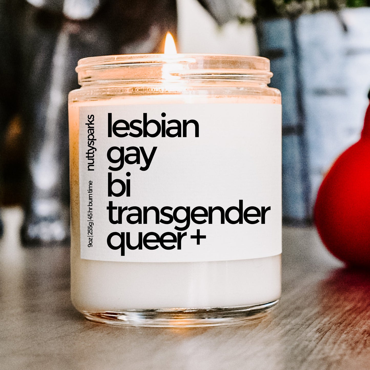 lesbian gay bi transgender queer +